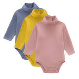 Long Sleeve Ribbed Turtle Neck