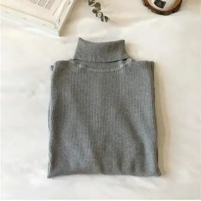 Knit Ribbed Turtleneck