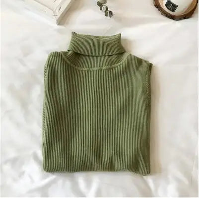 Knit Ribbed Turtleneck