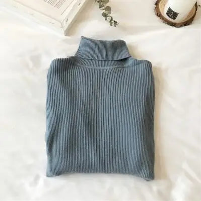 Knit Ribbed Turtleneck