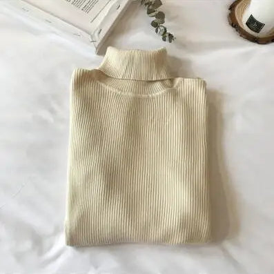 Knit Ribbed Turtleneck
