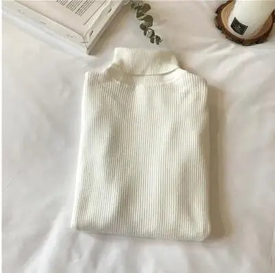 Knit Ribbed Turtleneck